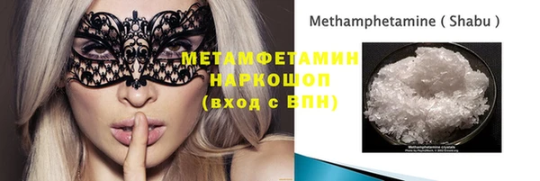 молекула духа Богданович