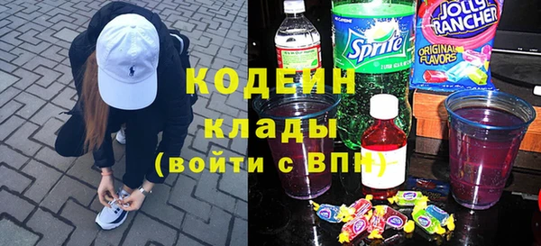 молекула духа Богданович