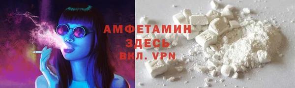молекула духа Богданович
