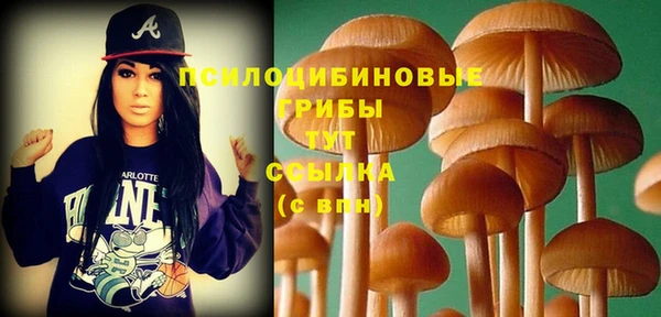 дурь Аркадак