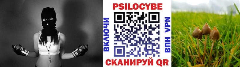 Псилоцибиновые грибы MAGIC MUSHROOMS  MEGA tor  Можга  сколько стоит 